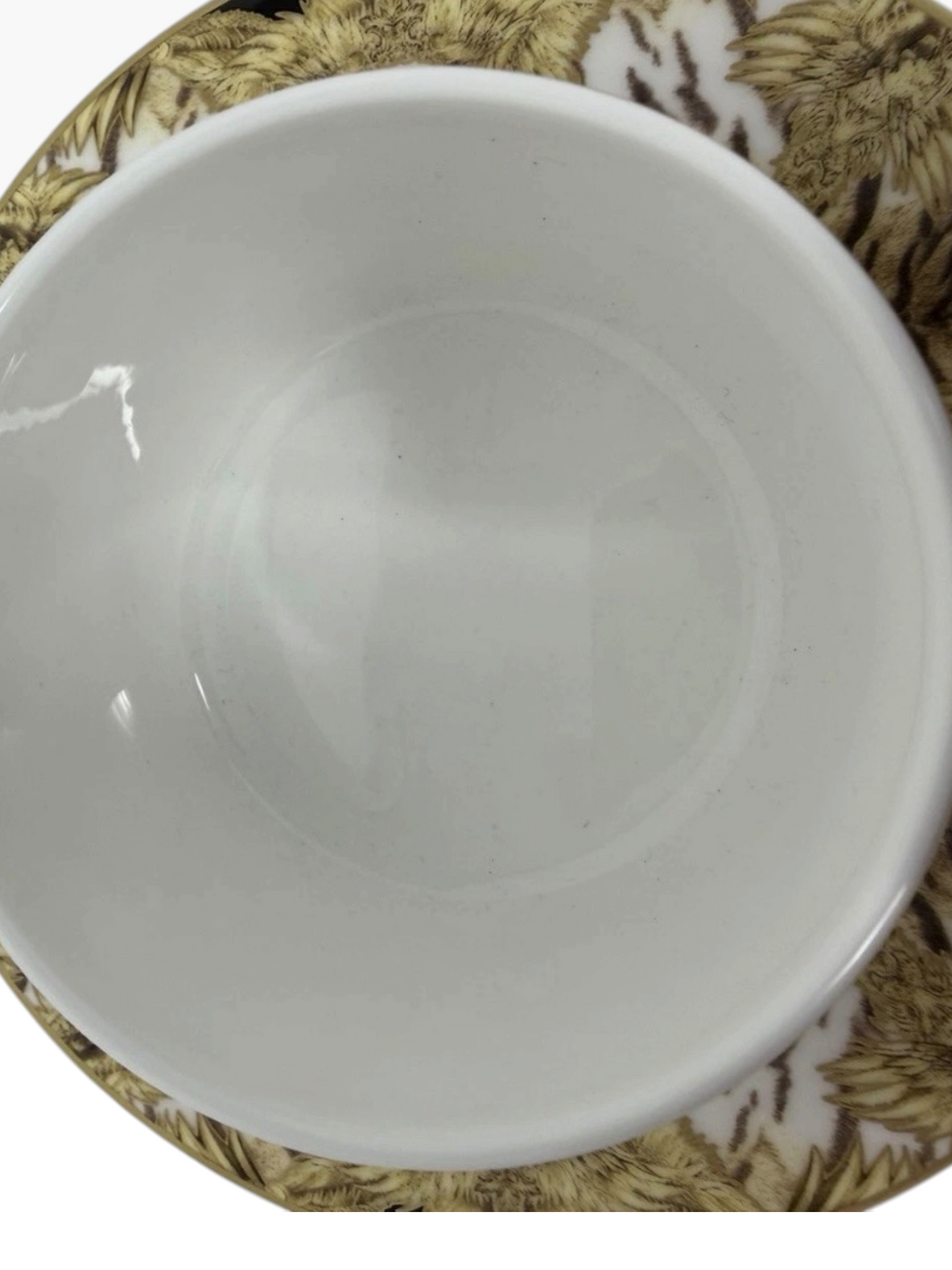Roberto Cavalli Home Tiger Wings Coffee Cup & Saucer Set