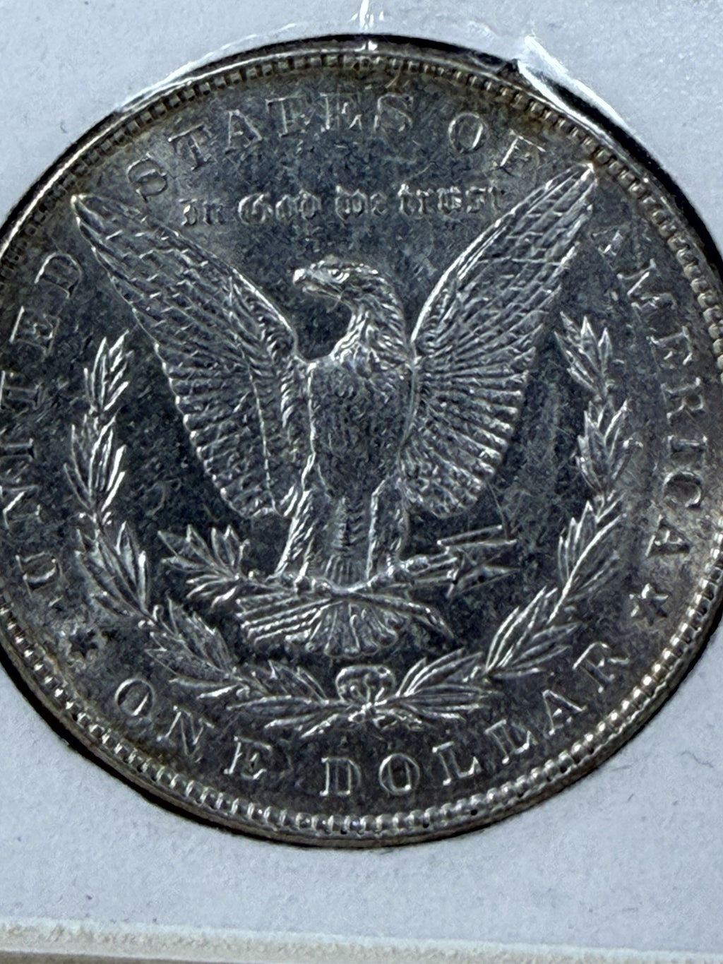 New York Times Statue of Liberty framed display, Morgan dollar reverse eagle close-up