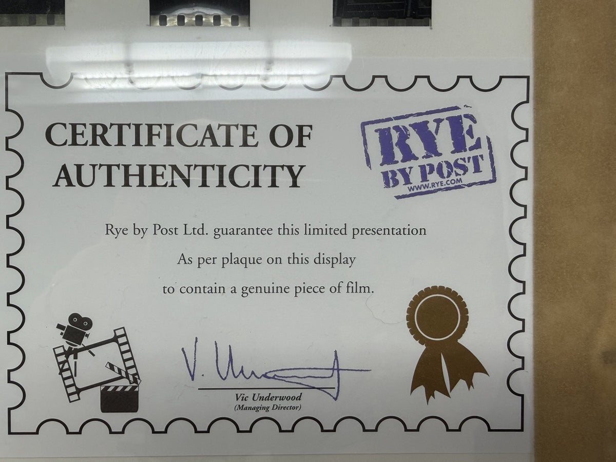 Rye By Post Terminator Trilogy framed film cell display with numbered certificate
